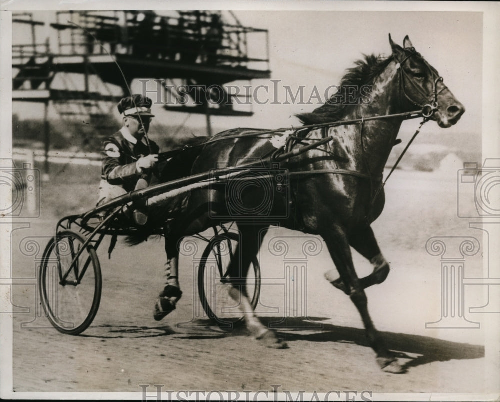 1937 Press Photo Muscletone to race at Goshen NY vs Greyhound - nes48487- Historic Images