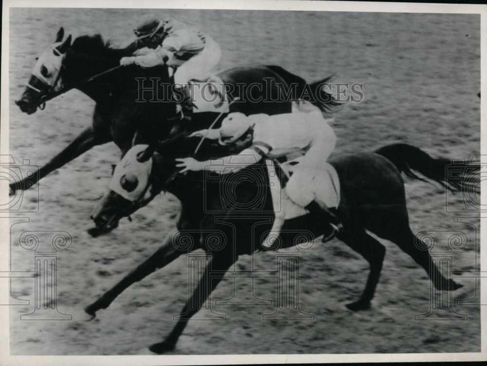 1948 Press Photo Stud Poker wins vs Bug Juice at Miami&#39; sHialeah track- Historic Images