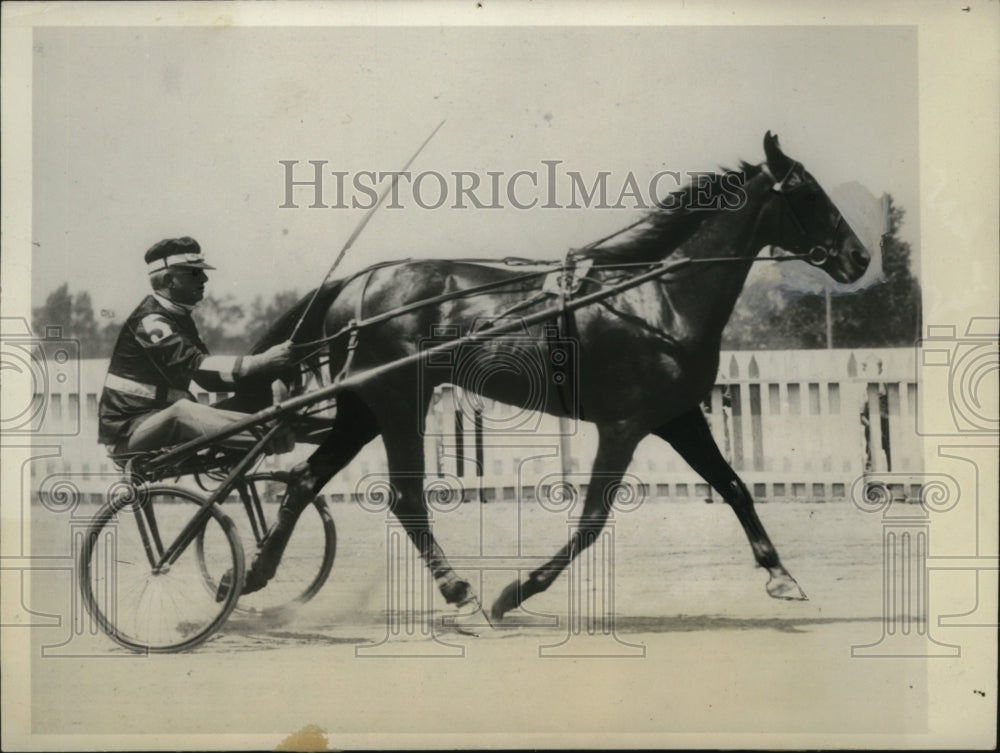 1931 Press Photo Goshen NY Ben White training Dick Reynolds at pacing- Historic Images