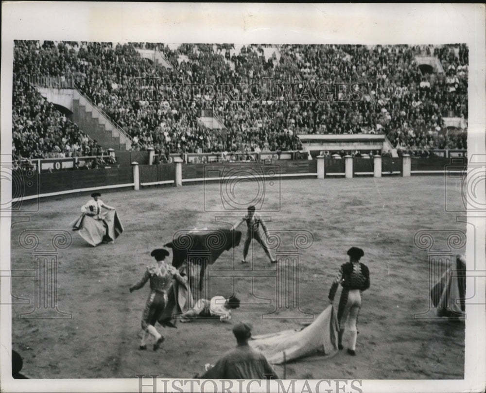 1950 Press Photo Young person falls to ground while bullfighting in Madrid- Historic Images