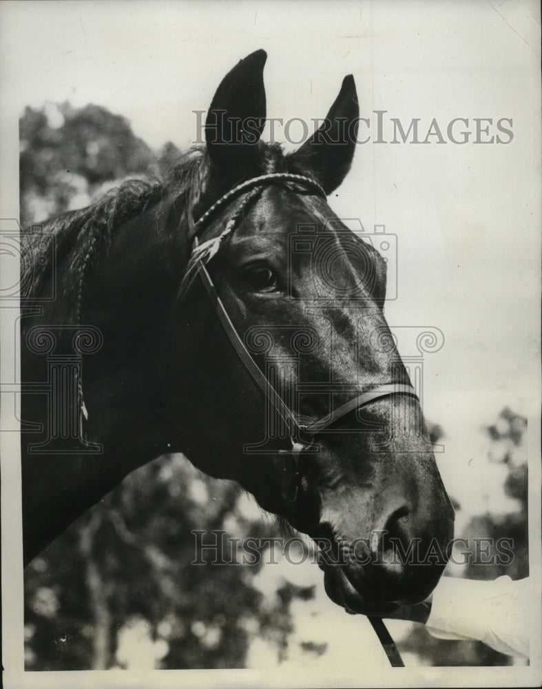 1935 Press Photo Jim Hanes is regarded as a favorite in Hambletonian Stakes- Historic Images