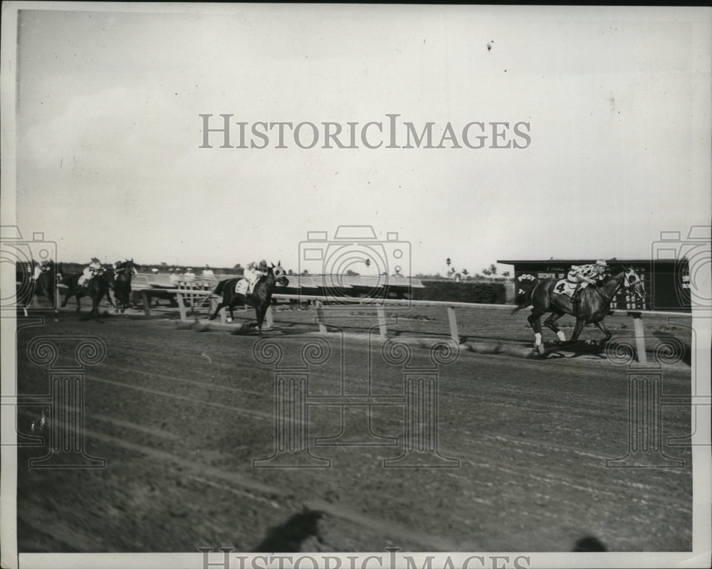 1935 Press Photo Master Lad wins fifth race of the day at Tropical Park, Florida- Historic Images