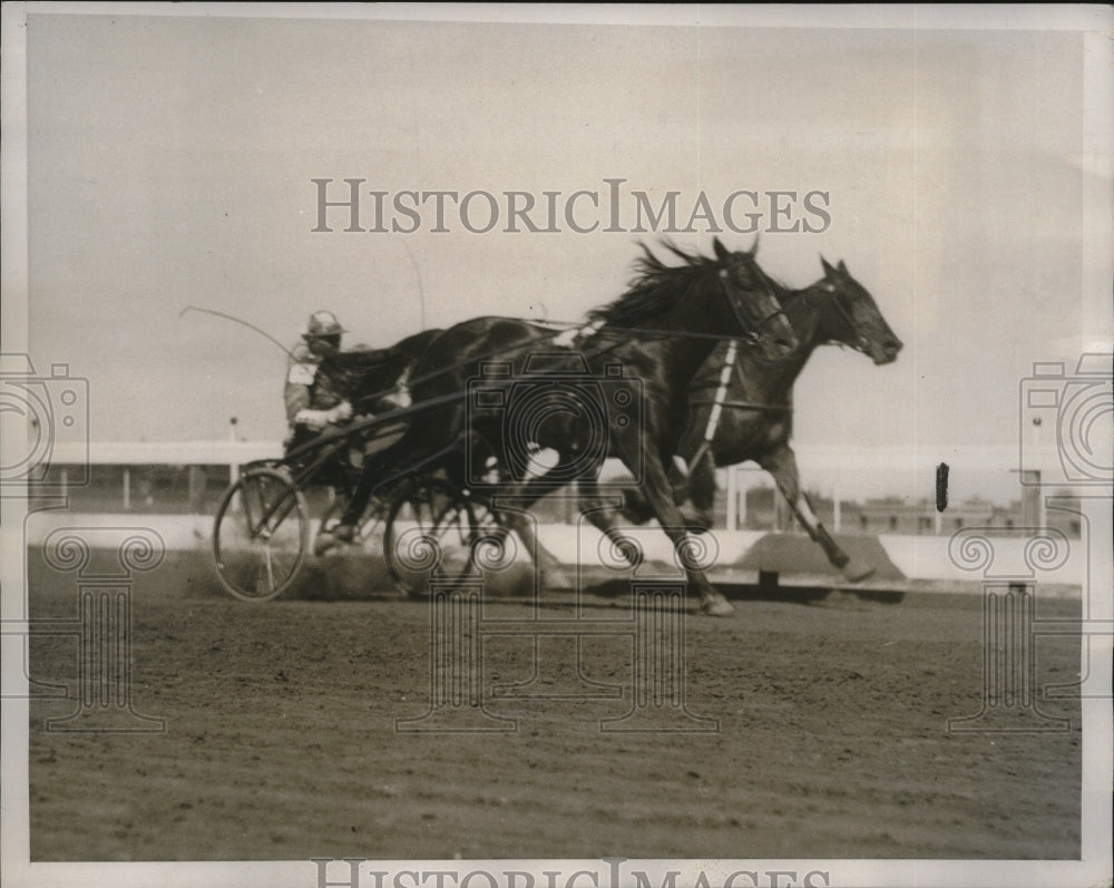 1938 Press Photo Dynamic bears Neophyte in sixth race at Aiken Mile Race Track- Historic Images