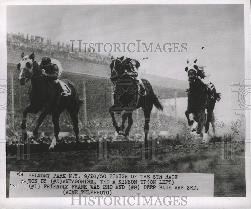 1950 Press Photo Belmont NY T Kinson on Antagonism vs Friendly Frank, Deep Blue- Historic Images