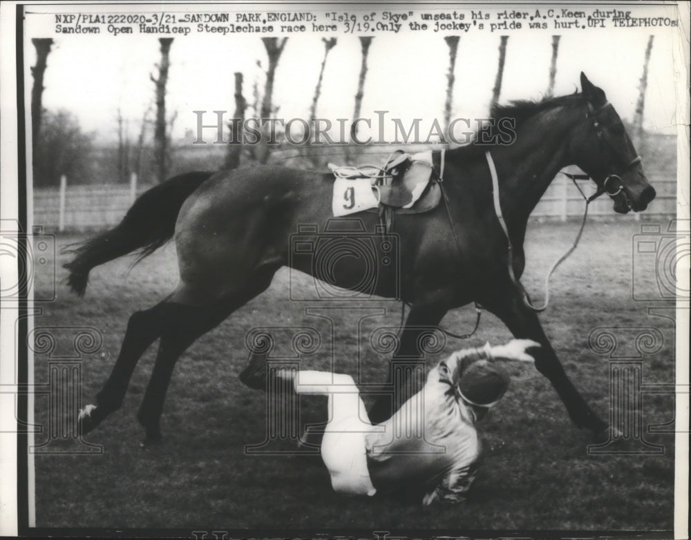 1960 Press Photo Isle of Skye throws AC Keen at Sandown Steeplechase - nes54246- Historic Images