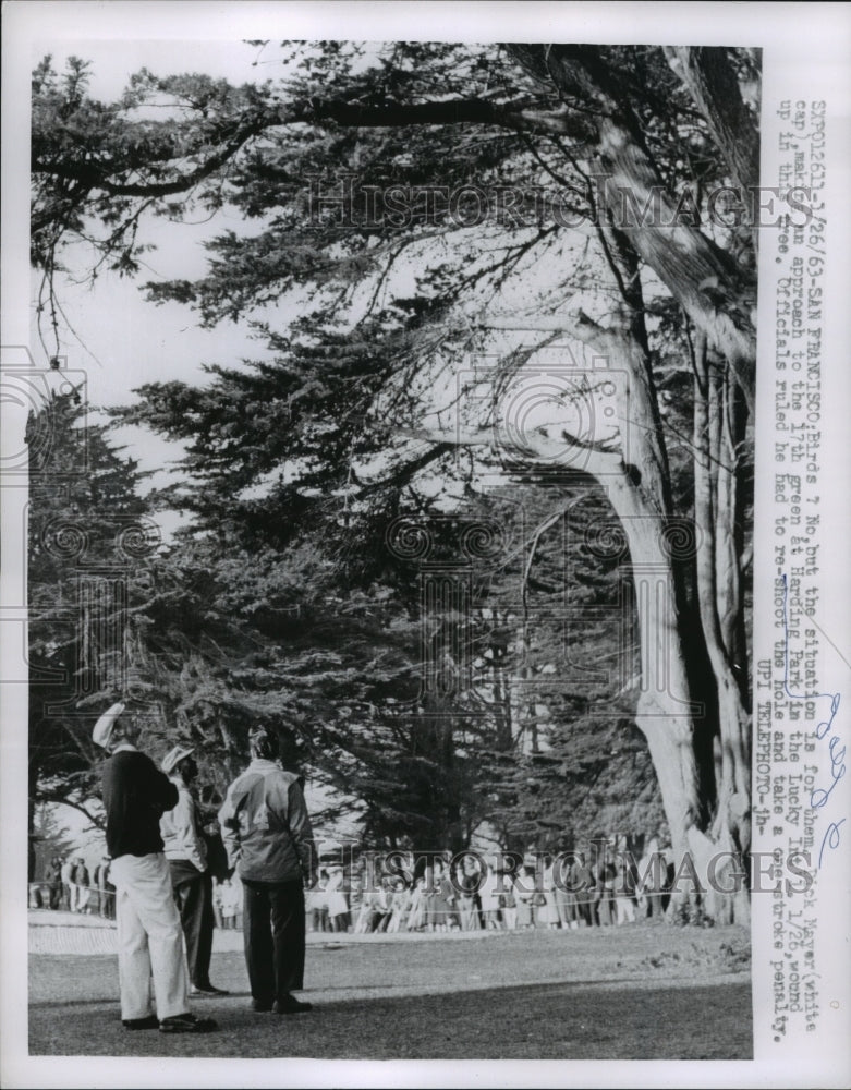 1963 Press Photo Dick Mayer Shoots Ball at 17th in Tree Reshoots with Penalty- Historic Images