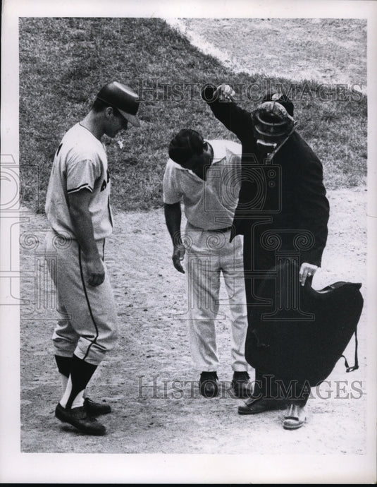 1966 Press Photo Umpire Valentine hit by ball ,Los Angeles trainer looks it over- Historic Images