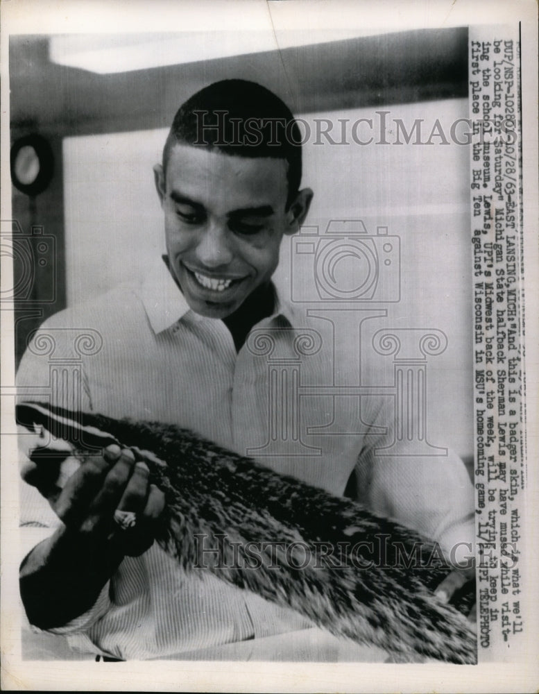 1963 Press Photo Michigan State halfback Sherman Lewis looks at badger skin- Historic Images