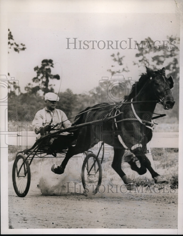 1938 Press Photo Silver Prince and trainer Ben F. White tune up for Hambletonian- Historic Images