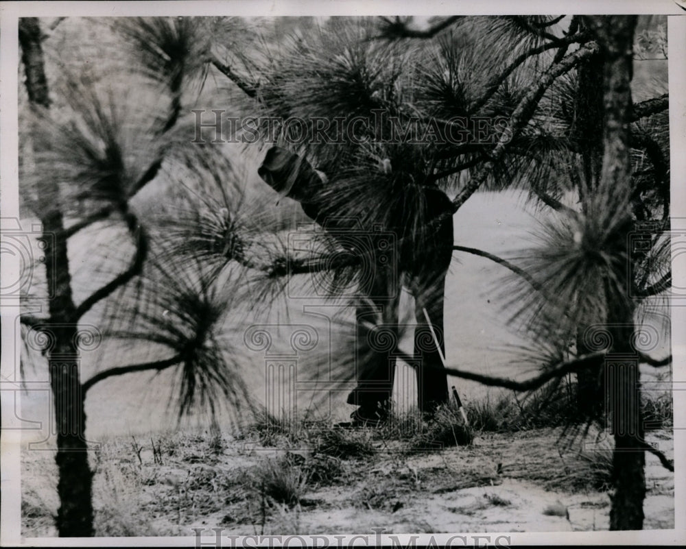 1938 Press Photo George T Dunlap Jr in trees at North &amp; South Open golf in NC- Historic Images