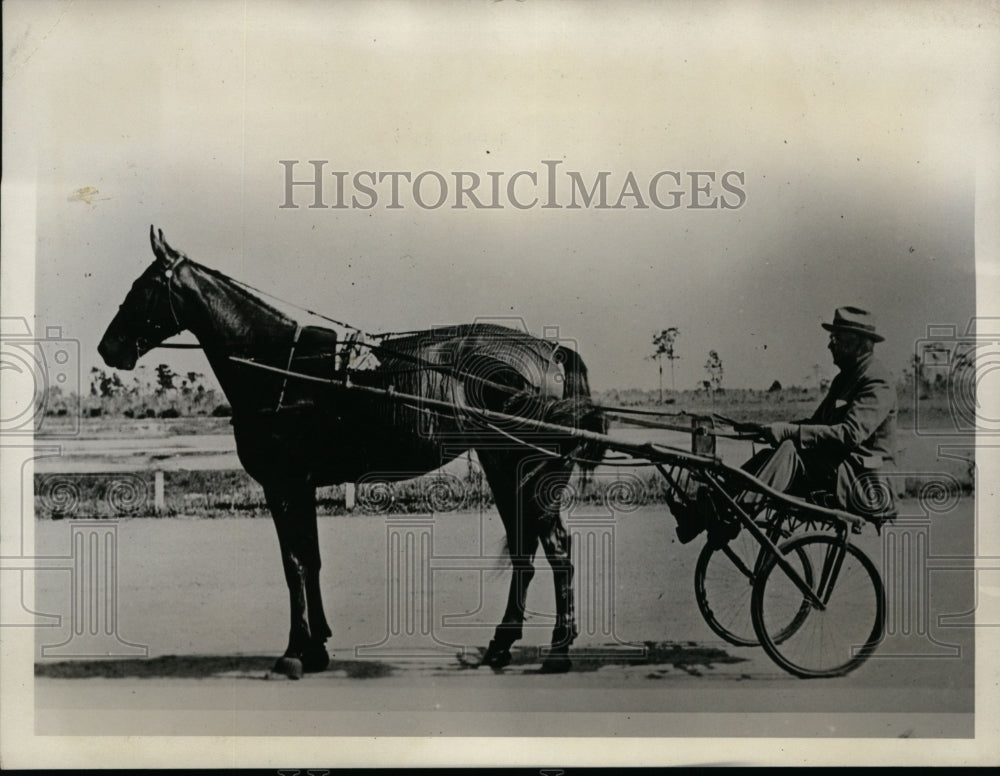 1933 Press Photo Owner WN Reynolds &amp; trotter Mary Reynolds in Cleveland- Historic Images