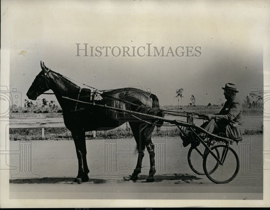 1933 Press Photo Owner WN Reynolds & trotter Mary Reynolds in Cleveland- Historic Images