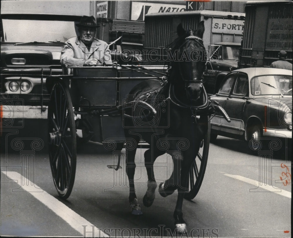 1966 Press Photo Frank Smith drives his horse trap on NYC Seventh Avenue- Historic Images