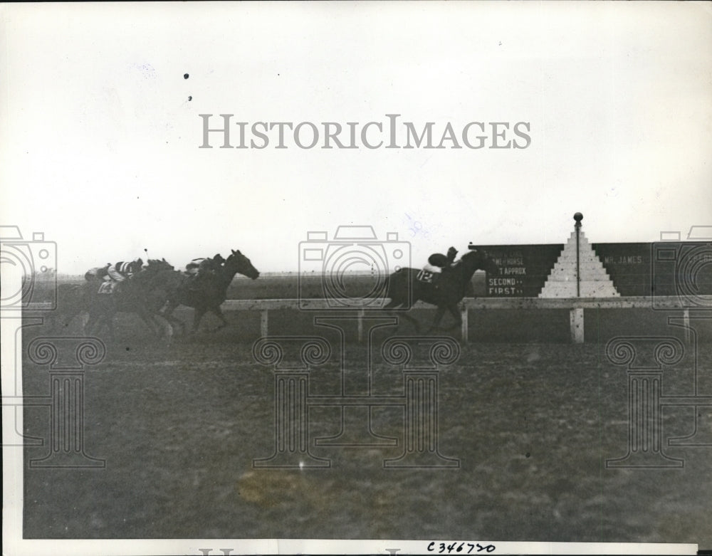 1936 Press Photo Ding Bin, Heart Break, Infidox at Fox Valley Inaugural race Ill- Historic Images