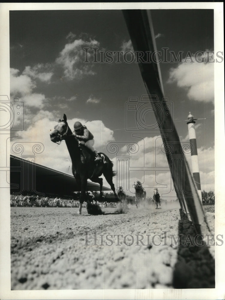 1975 Press Photo Kentucky Derby horse Foolish Pleasure of maybe Prince Thou Art- Historic Images