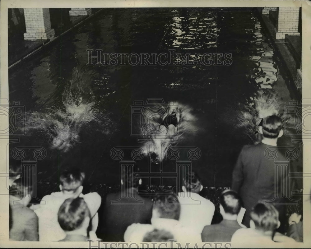 1935 Press Photo Start of heat of 50 yard free style swim at a meet - net16875- Historic Images