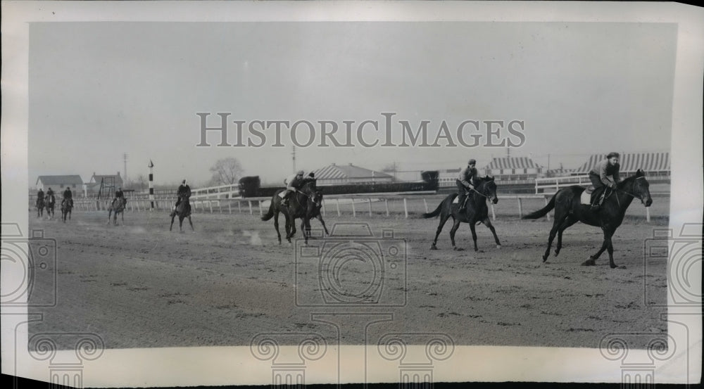 1947 Press Photo Group of two year old horses working out at Aqueduct race track- Historic Images