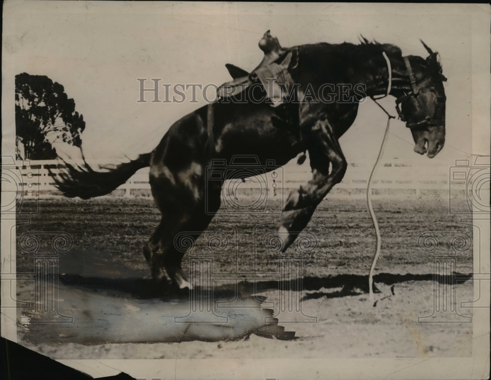 1922 Press Photo California rodeo with bucking bronco near San Francisco- Historic Images