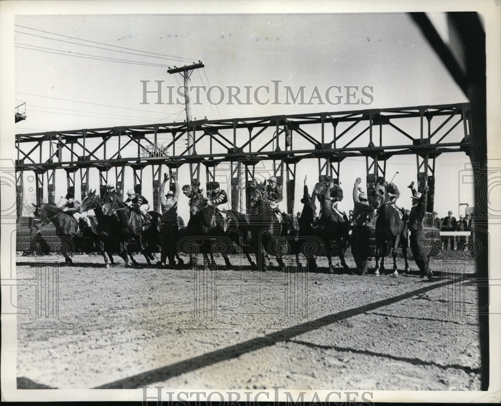 1937 Press Photo field at the start gate of the 3rd race, Havre De Grace track- Historic Images