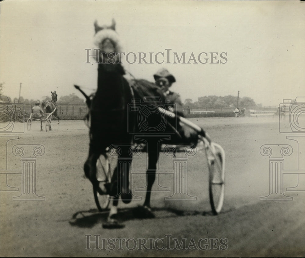 1921 Press Photo Trotter horse Mr Jefferson with driver at a track - net25494- Historic Images
