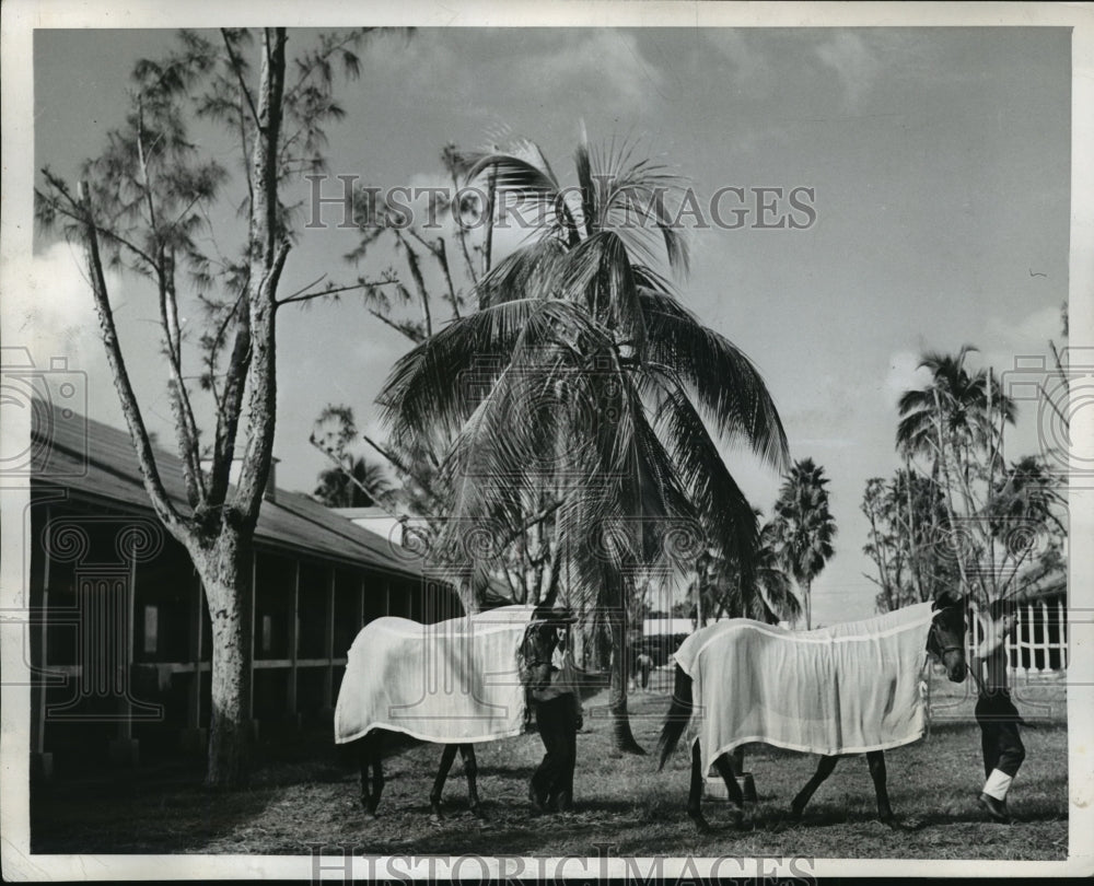 1946 Press Photo Hialeah track Florida Alfred Robinson training his horses- Historic Images