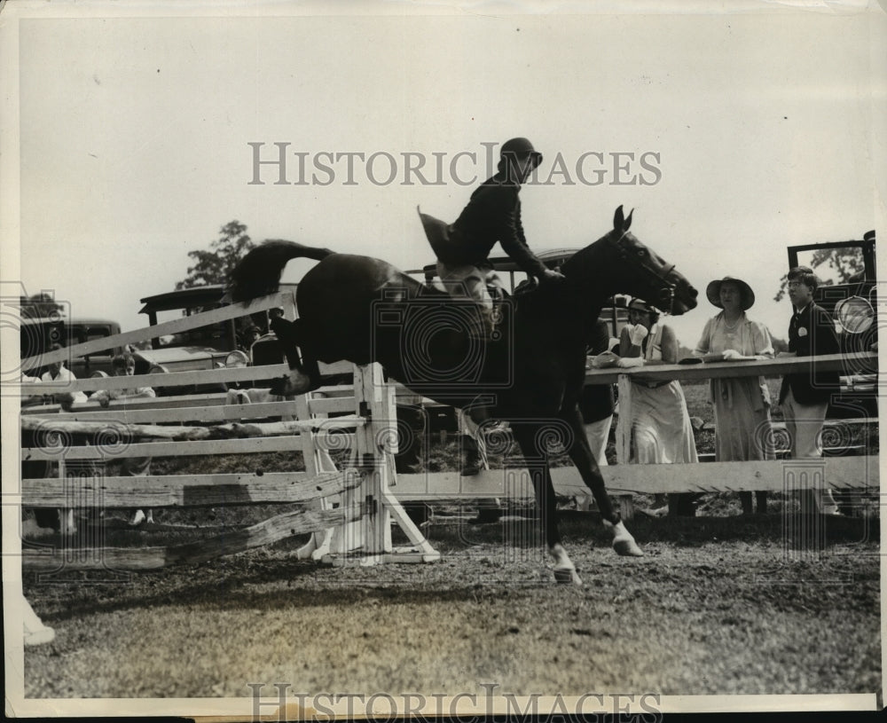 1931 Press Photo Annual Huntington Horse Show Lindy owned by Harry Appleton- Historic Images