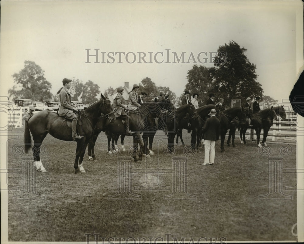 1929 Press Photo Judging of Local Road hacks at Westchester NY show - net26842- Historic Images