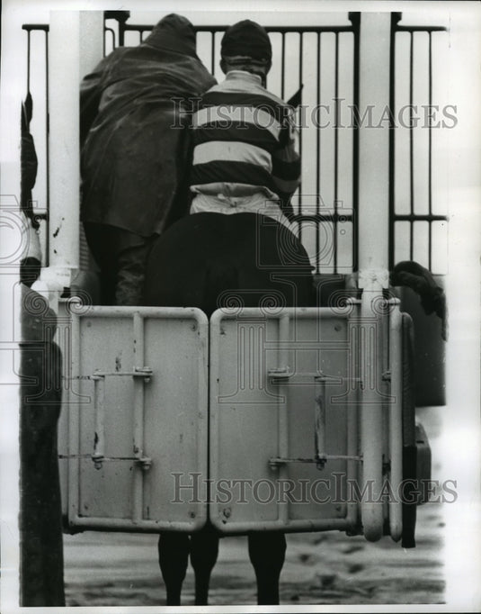1962 Press Photo Willie Shoemaker on horse in his seventh racing season- Historic Images