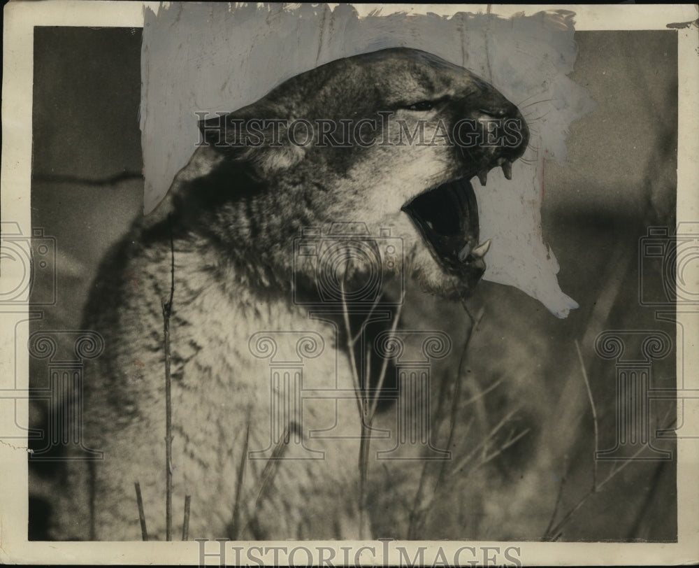 1928 Press Photo The Arch Murderess Is Doomed To Die By Order Of Supt. Eakin- Historic Images