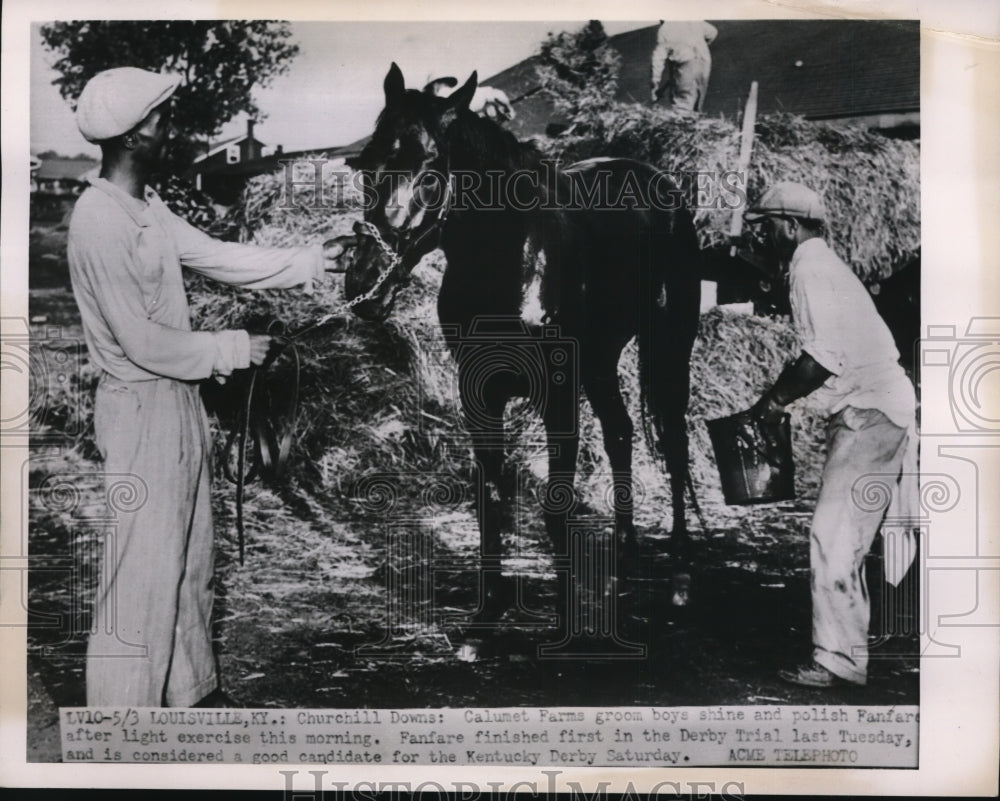 1951 Press Photo Fanfare tended by grooms at Churchill Downs, places 5th in K.D.- Historic Images