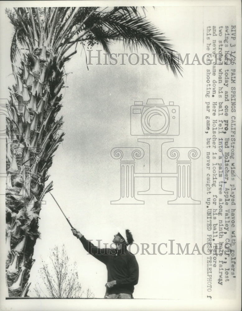 1957 Press Photo Bud Holscher&#39;s Ball fell into a palm tree at Match - net34815- Historic Images