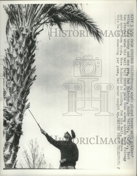 1957 Press Photo Bud Holscher's Ball fell into a palm tree at Match - net34815- Historic Images