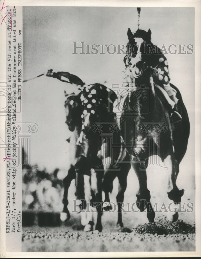 1953 Press Photo Hierarch winner at 5th race at Tropical Park - net35067- Historic Images