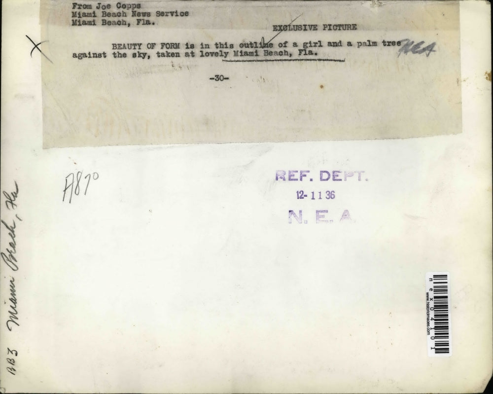 1936 Press Photo Girl Leaning on Palm Tree Miami Beach