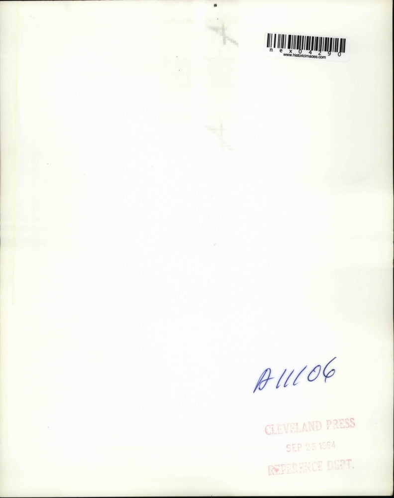 1964 Press Photo Cleaning leaves in the forest