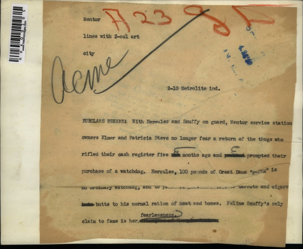 1950 Press Photo German Shepherd Dog & Kitten Guard Elmer Steve's Gas Station