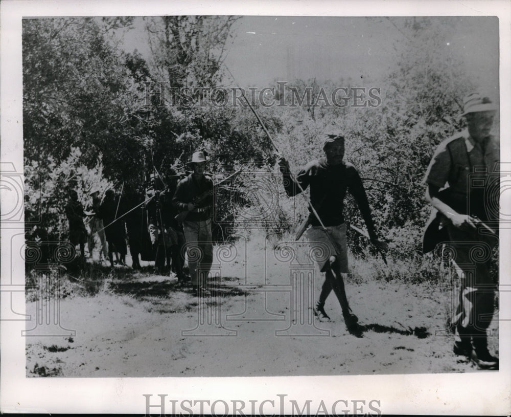 1953 Press Photo Typical patrol of Mau Mau hunters includes European officers