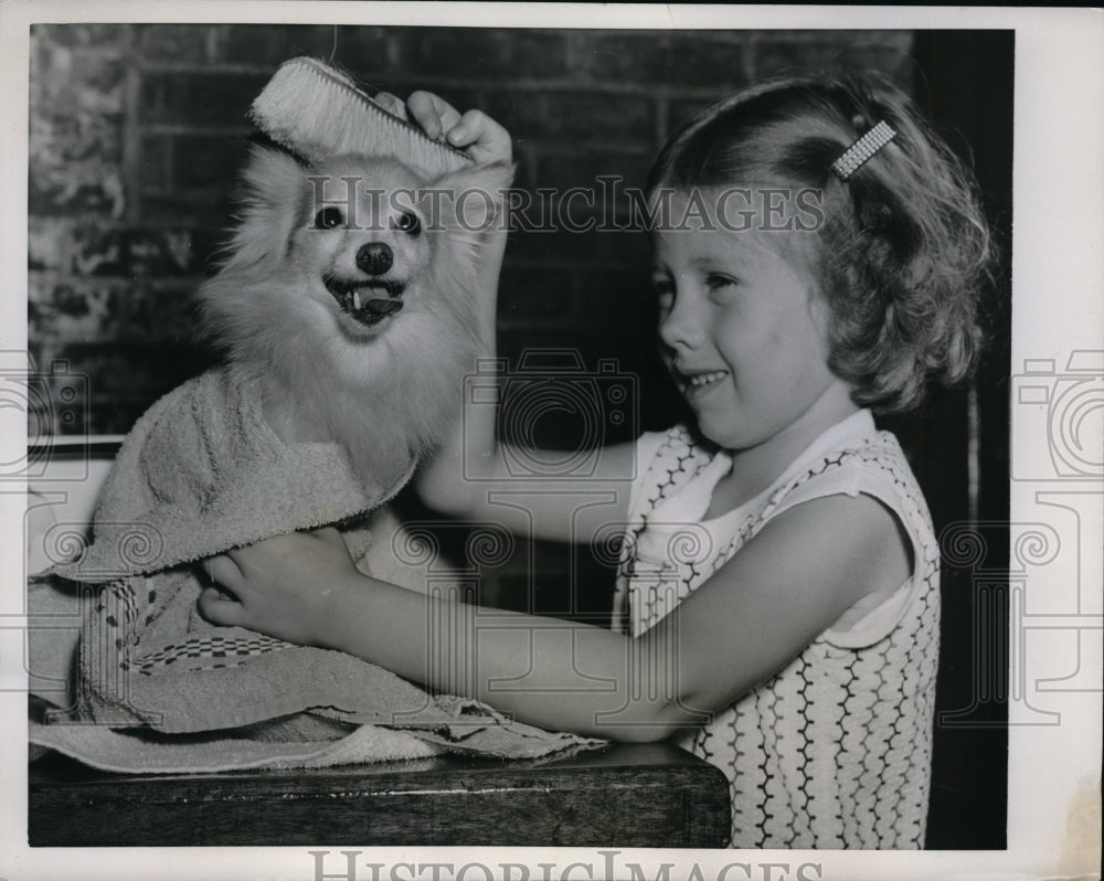 1955 Press Photo Cooling a hot dog with a damp towel and wet brush.