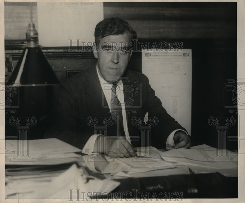 Load image into Gallery viewer, 1924 Press Photo James Egan new Secretary of Tammany Hall
