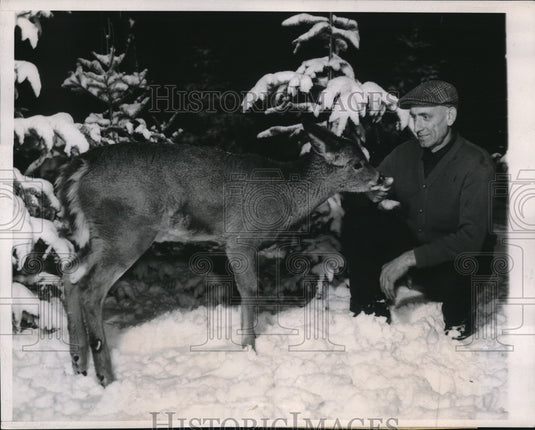 1947 Press Photo Edmund Wuerz Feeds Pet Deer Joe In Chicago Snow - nex09615