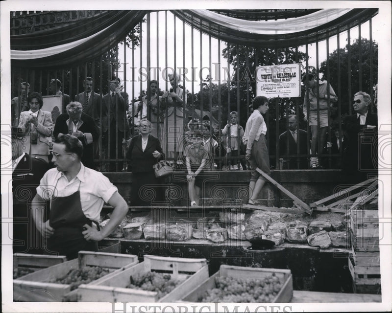 Load image into Gallery viewer, 1955 Press Photo Scene from the Treille Du Roi Vineyards sold at auction
