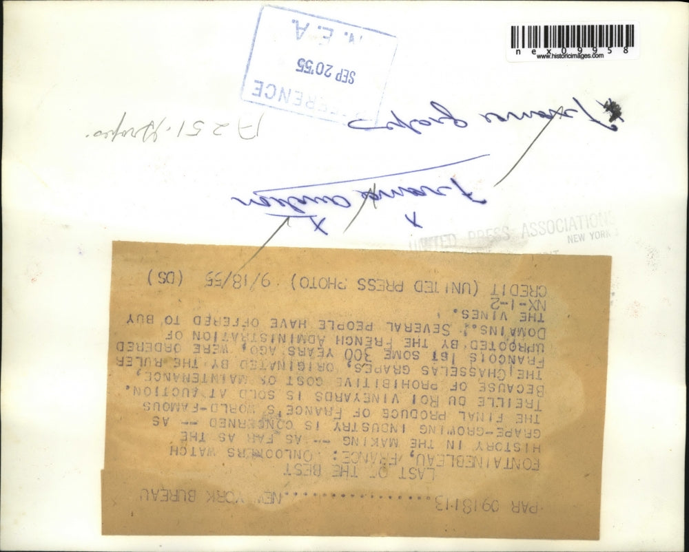 1955 Press Photo Scene from the Treille Du Roi Vineyards sold at auction