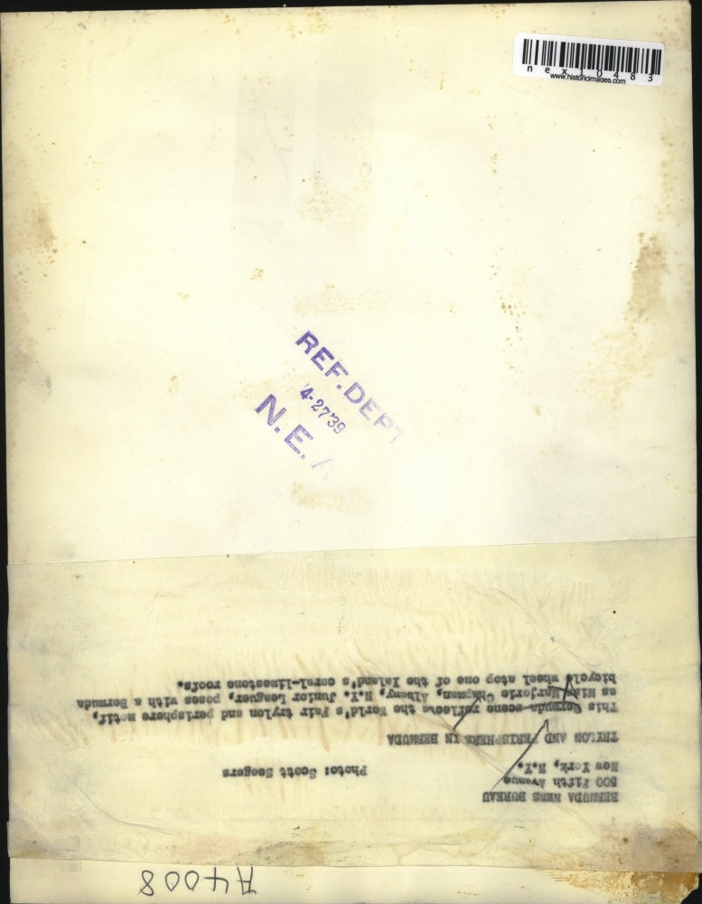 1939 Press Photo Junior Leaguer Marjorie Chapman On Bermuda Limestone Roof