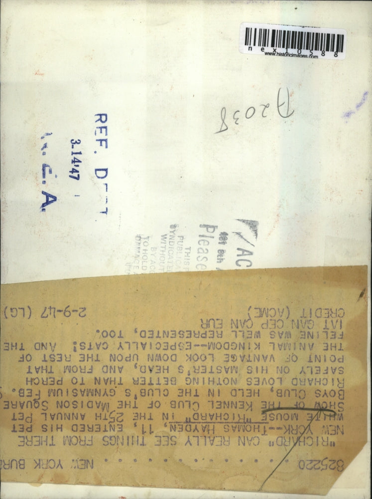 1947 Press Photo Thomas Hayden & pet mouse, Richard, in 25th Annual Pet Show