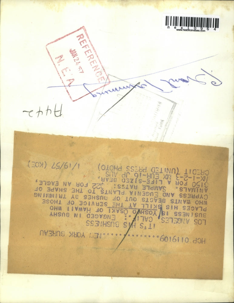 1927 Press Photo Yoshio Osaki of Hawaii turns bushes into animals - nex10964