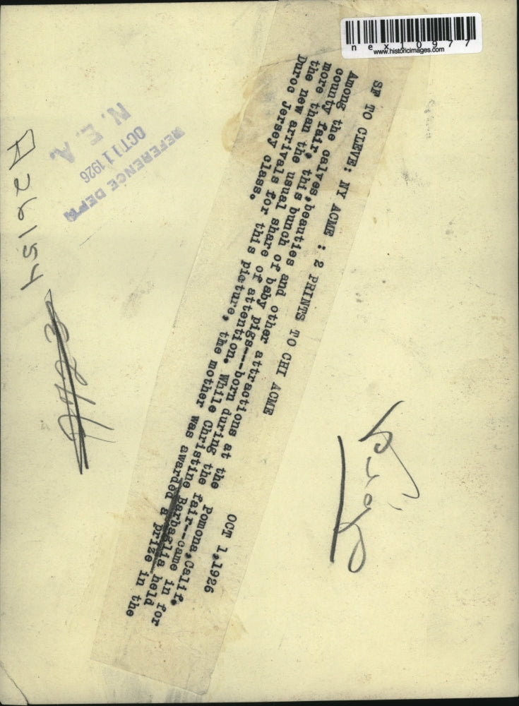 1926 Press Photo Christine Barbaglia Holds Adorable Piglets Mother Sow Won Prize