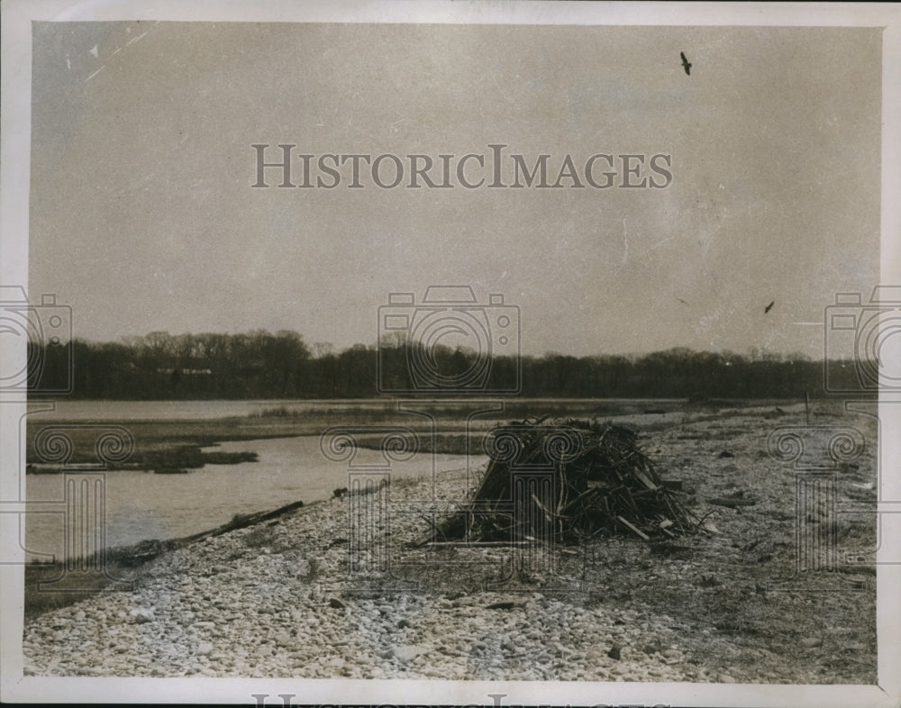 1929 Press Photo Osprey's Nest On The Shore Of A Lake - nex11096