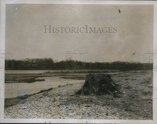 1929 Press Photo Osprey's Nest On The Shore Of A Lake - nex11096