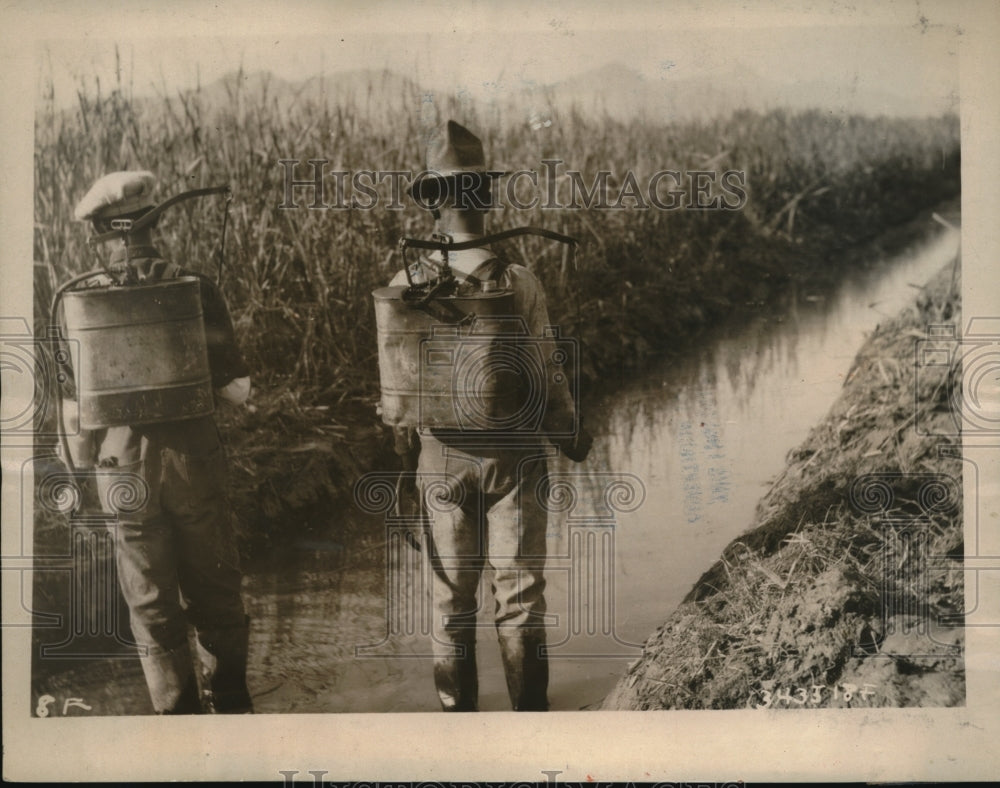 1923 Press Photo El Paso Declares War On Skeeters Crude Oil Sprayed On Ditch Wat