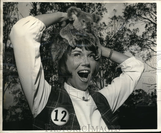 1969 Press Photo American Airlines Hostess Has Cute Koala On Her Head In Brisban